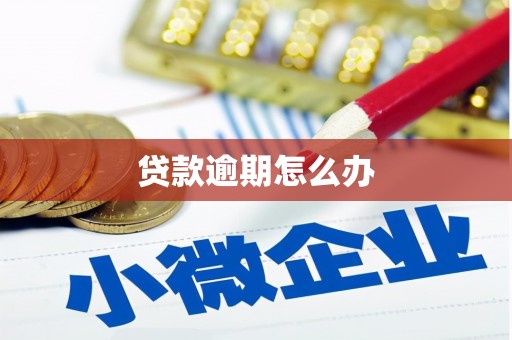 田林贷款逾期怎么办