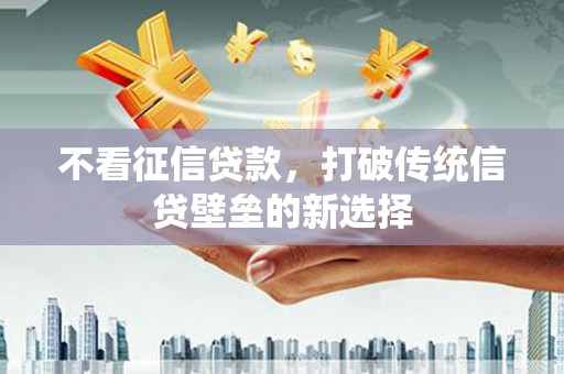 田林不看征信贷款，打破传统信贷壁垒的新选择