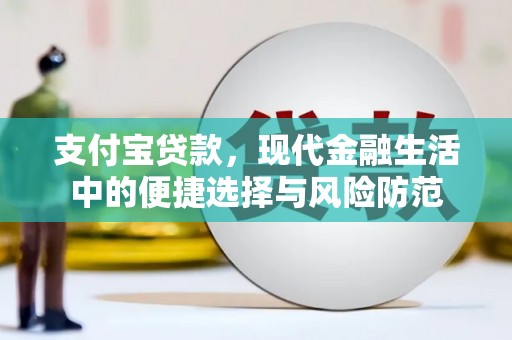 田林支付宝贷款，现代金融生活中的便捷选择与风险防范