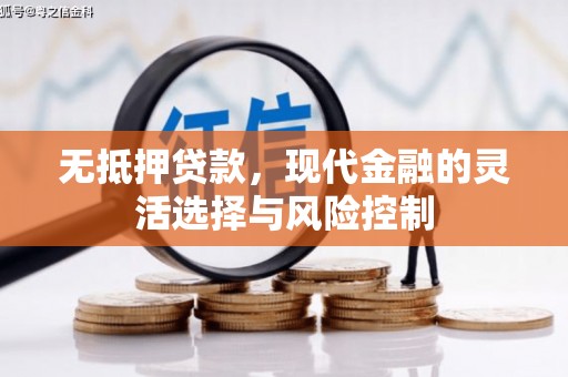 田林无抵押贷款，现代金融的灵活选择与风险控制