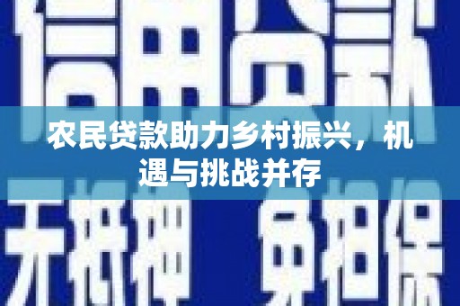 田林农民贷款助力乡村振兴，机遇与挑战并存