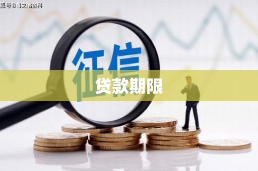 田林贷款期限