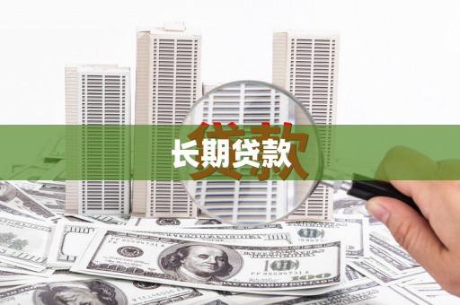 田林长期贷款