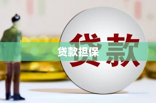 田林贷款担保