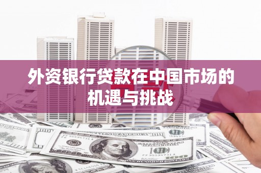 田林外资银行贷款在中国市场的机遇与挑战