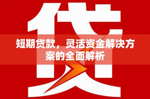 田林短期贷款，灵活资金解决方案的全面解析