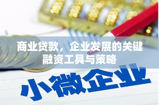 田林商业贷款，企业发展的关键融资工具与策略