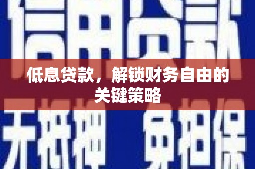 田林低息贷款，解锁财务自由的关键策略