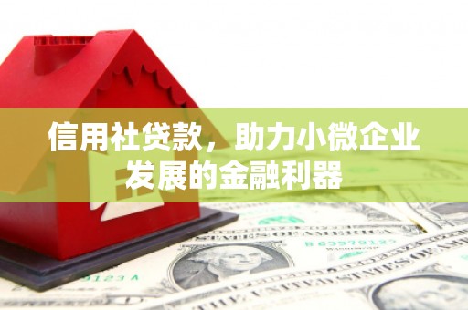 田林信用社贷款，助力小微企业发展的金融利器