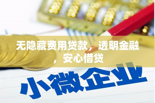 田林无隐藏费用贷款，透明金融，安心借贷