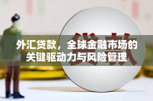 田林外汇贷款，全球金融市场的关键驱动力与风险管理