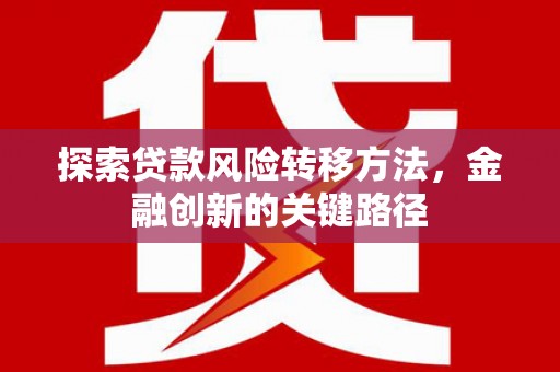 田林探索贷款风险转移方法，金融创新的关键路径