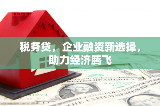 田林税务贷，企业融资新选择，助力经济腾飞