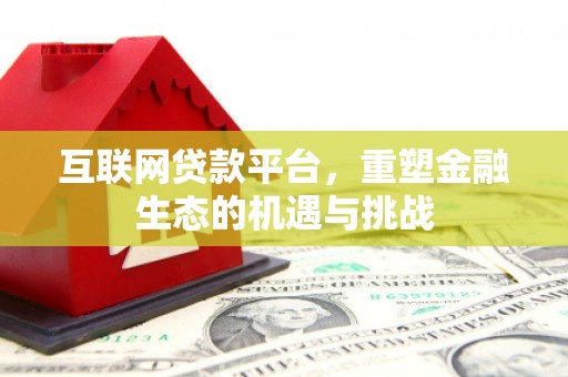 田林互联网贷款平台，重塑金融生态的机遇与挑战