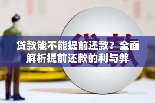 田林贷款能不能提前还款？全面解析提前还款的利与弊