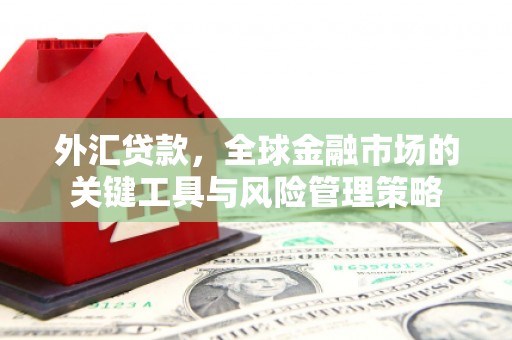 田林外汇贷款，全球金融市场的关键工具与风险管理策略