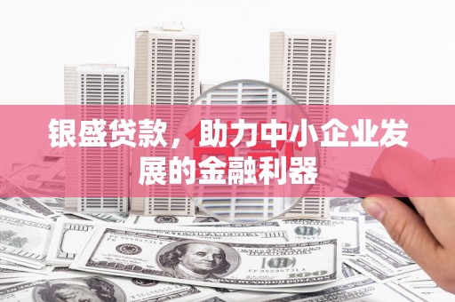 田林银盛贷款，助力中小企业发展的金融利器