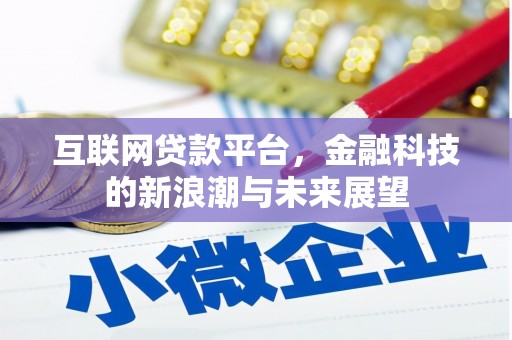 田林互联网贷款平台，金融科技的新浪潮与未来展望