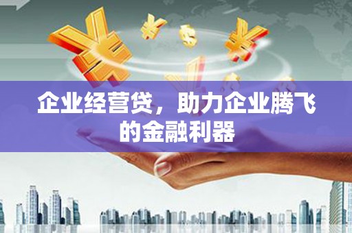 田林企业经营贷，助力企业腾飞的金融利器