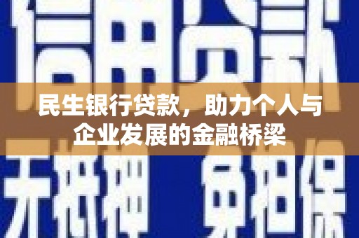 田林民生银行贷款，助力个人与企业发展的金融桥梁
