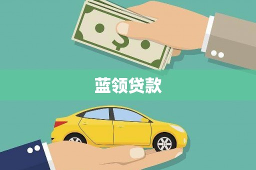 田林蓝领贷款