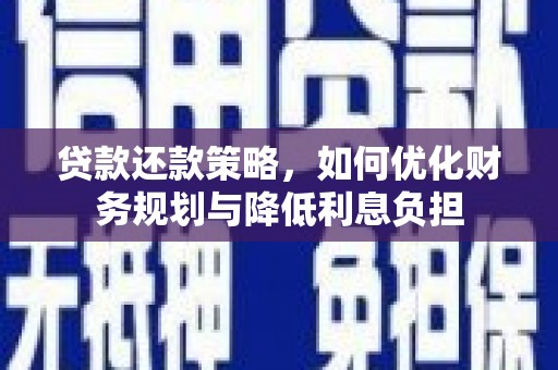 田林贷款还款策略，如何优化财务规划与降低利息负担