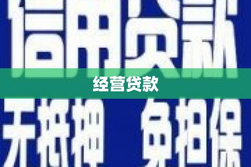 田林经营贷款