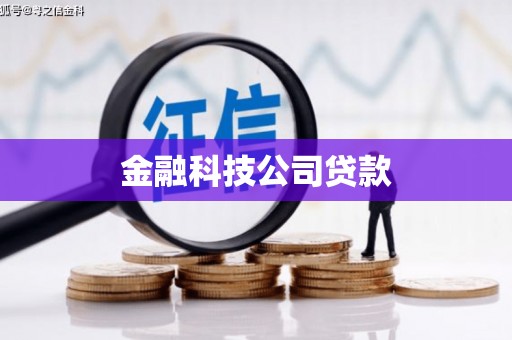 田林金融科技公司贷款
