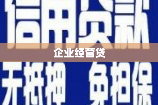 田林企业经营贷
