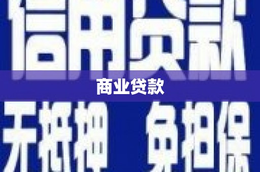 田林商业贷款