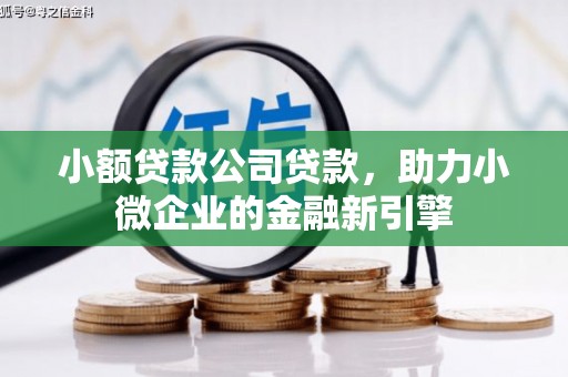 田林小额贷款公司贷款，助力小微企业的金融新引擎