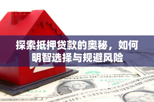 田林探索抵押贷款的奥秘，如何明智选择与规避风险