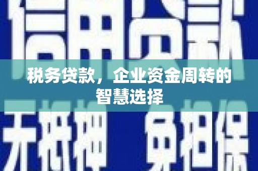 田林税务贷款，企业资金周转的智慧选择