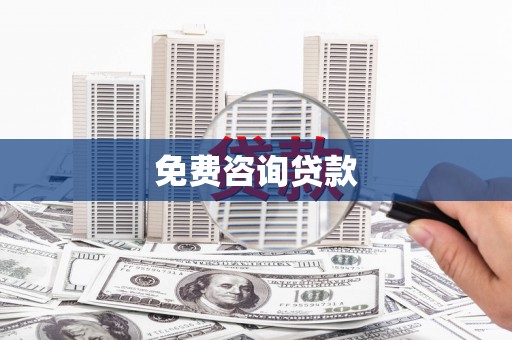 田林免费咨询贷款