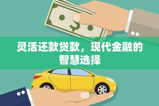 田林灵活还款贷款，现代金融的智慧选择