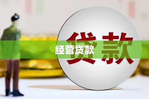 田林经营贷款