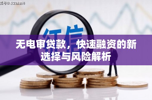 田林无电审贷款，快速融资的新选择与风险解析
