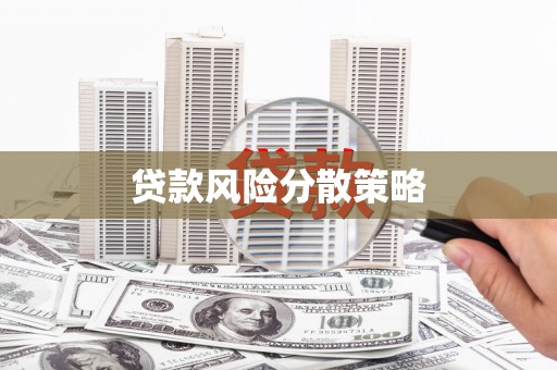 田林贷款风险分散策略