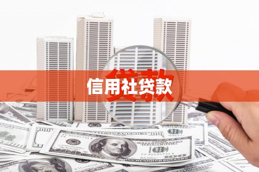 田林信用社贷款