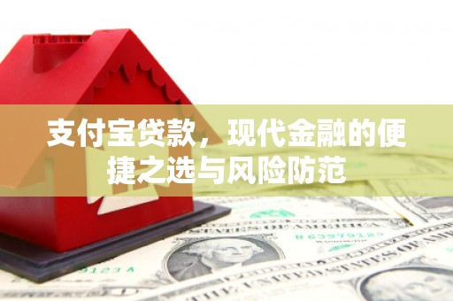 田林支付宝贷款，现代金融的便捷之选与风险防范