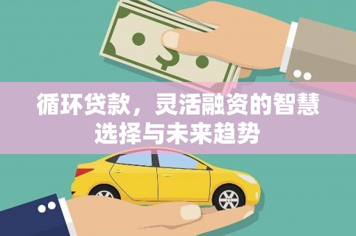 田林循环贷款，灵活融资的智慧选择与未来趋势