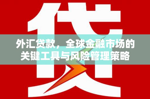 田林外汇贷款，全球金融市场的关键工具与风险管理策略