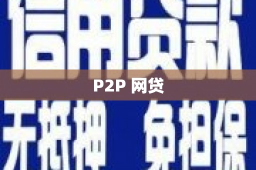 田林P2P 网贷