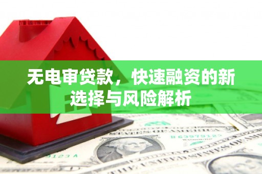 田林无电审贷款，快速融资的新选择与风险解析