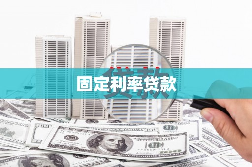 田林固定利率贷款