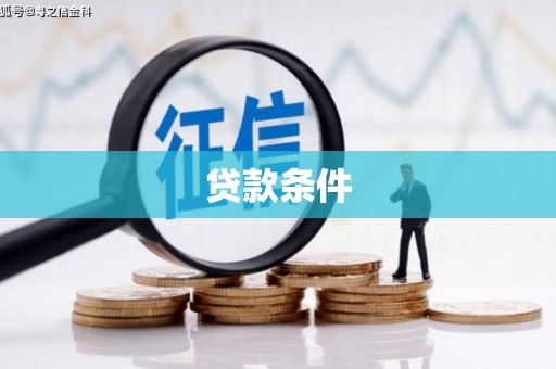 田林贷款条件