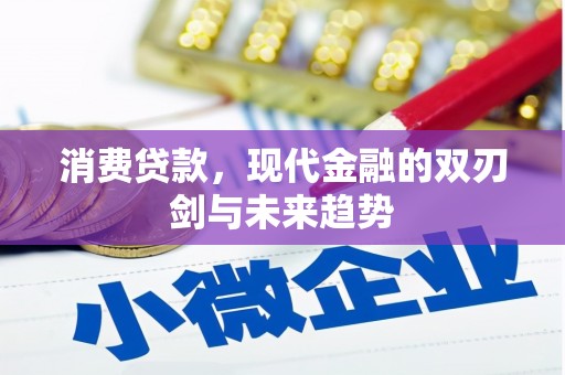 田林消费贷款，现代金融的双刃剑与未来趋势
