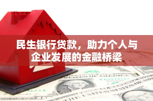 田林民生银行贷款，助力个人与企业发展的金融桥梁