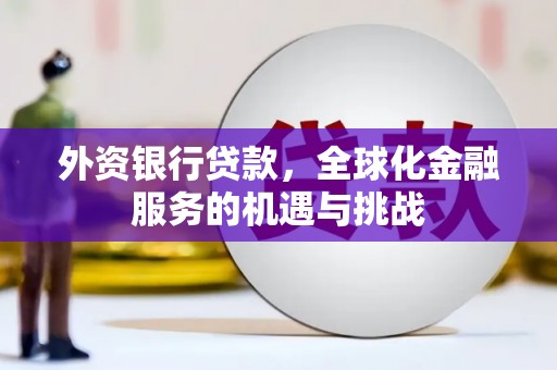 田林外资银行贷款，全球化金融服务的机遇与挑战