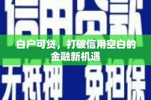 田林白户可贷，打破信用空白的金融新机遇